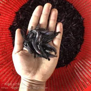 ������������һ�� �㶫�޶����������������� ���ع�Ӧ ����