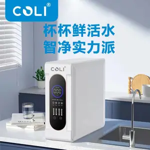 ���ܼ��þ�ˮ��800G˫��ˮ����ֱ����ˮ��