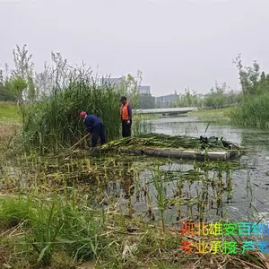 רҵ�ո�«έ �ո�ˮ�� �ո����ˮ��ֲ�� �Ҳ���רҵ���˵Ŀ�����