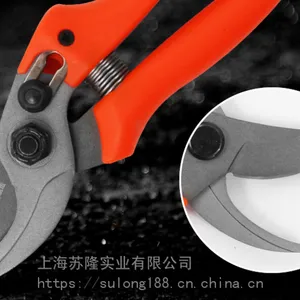 ������818԰�ռ�����֦����������֦���辰����֦��