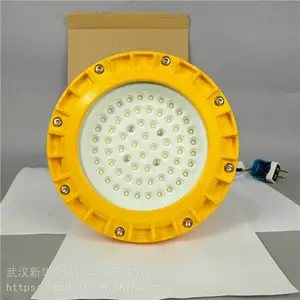 华荣 机房LED防爆灯100w 地下管廊LED防爆灯28w 欢迎咨询
