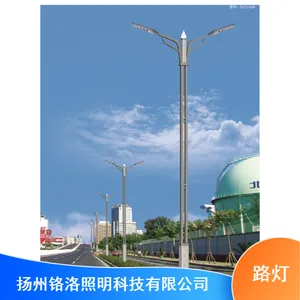 景区LED多种用途使用寿命长抗冲击太阳能双臂2米路灯