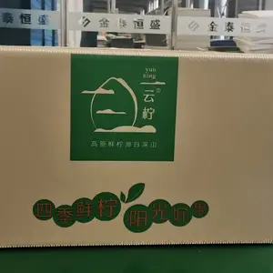 厂家定制批发柠檬包装箱各类水果包装箱