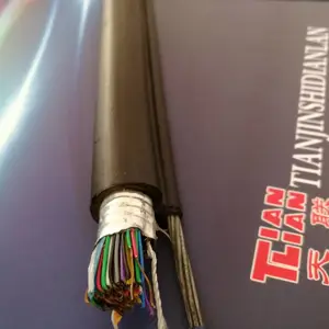HYA-700�Դ��������