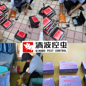 鄂州花湖灭白蚁