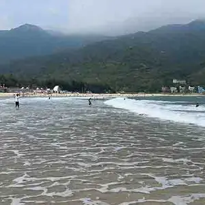 深圳团建活动方案 | 东冲沙滩/海边团建一日游攻略|大鹏东涌飞盘团建一日游