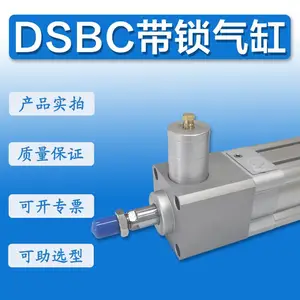 ����DSBC��������DSBC32-40-50-63-80-100-175-125-200-C-PPVA