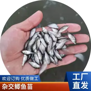 �۷�ˮ���������������� �ٲ��� ����ת��***��������