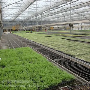 浅谈育苗床定做尺寸 可提供移动苗床地面硬化方案