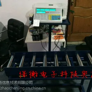 ��������TCS-150kg�߾��ȴ���ӡ��Ͳ���ӳӣ�100������ˮ�߹�Ͳ���ӳ�