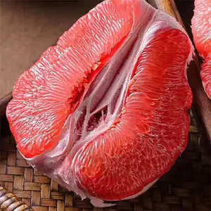 ��֦��4-5�������������缼��ָ��