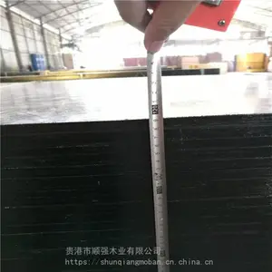 广西9层清水双面覆膜模板