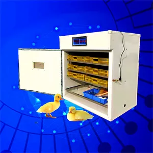 供应家用小型养殖场用大型智能全自动zn-880syj孵化机