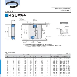 sakagami�ձ�����RGU�ܷ⣬�ձ������ܷ��й��ܴ���
