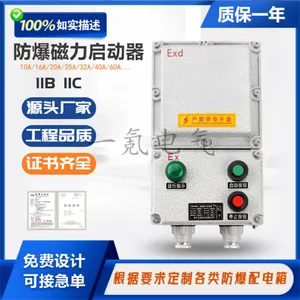 BDZ53防爆断路器配电箱接线箱220v380V启停按钮控制箱IP65磁力启动器