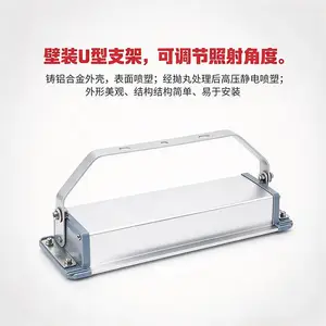 LED防腐嵌入式免维护12W电厂电房固态低顶灯IP65防腐WF2/36V低压