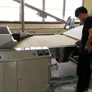 供应自动化酥性狗粮饼干成型机_奎宏