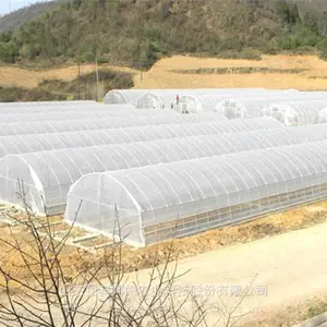 �������ҹ������ҹ�Ӧ��