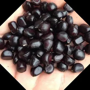 ĵ�����ӵĿ�������ǩ�������պ�ͬ