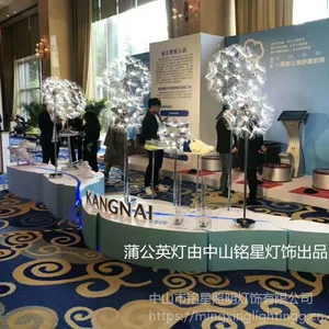 铭星led芦苇灯仿真蒲公英灯光纤芦苇灯户外防水景观插地草坪灯工程灯