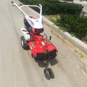 ��лƽ����������� �����ֲ���������� ������԰������