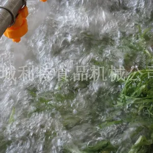 ����������ϴ�� ����������ϴ�豸 ����ȫ�׼ӹ���ˮ��