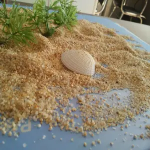 供应甘肃 2-4mm水处理垫层滤料专用水洗石英砂 滤料