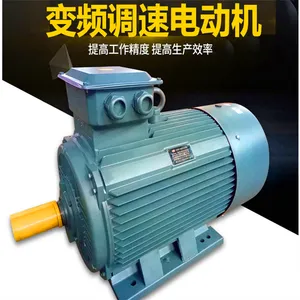 ����̩�������Ƶ���ٵ��YVFE2-315S-8 55KW 380V 5-100Hz ����ֱ��