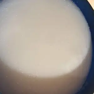 佛山木材防霉剂 木托板防霉剂 新鲜木材防霉剂