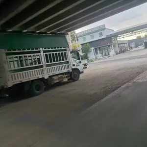 ʯ��ׯ��������������˾|���ɹ�����ר��