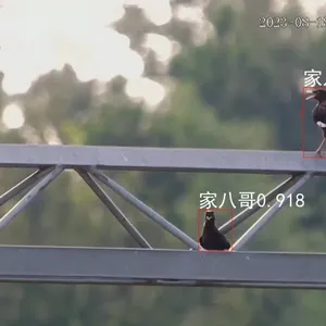 ��������ʶ�� ʪ�غ�����ϵͳ