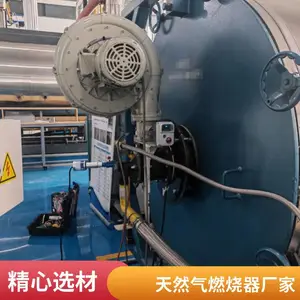 岱鼎燃烧燃气转炉煤气工业窑炉加热炉燃烧机烧嘴性价比高升温