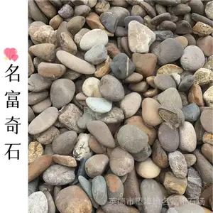 广东梅州杂色鹅卵石别乱买 电力 滤料 景观用途不一样规格要分清