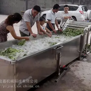 多功能清洗设备,水果蔬菜清洗机,大型清洗线