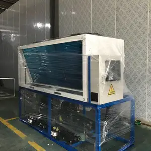 供应鼎胜V型箱式氟利昂制冷机组 比泽尔制冷机组
