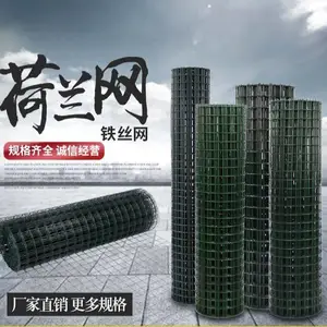 荷兰网铁丝网围栏养殖网养鸡网护栏防护网