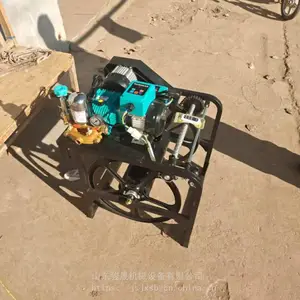 ɽ������ ���Ƹ�ѹ�����ô�ҩ�� ˫����ײ����綯��ҩ�� ��������ũ��ң�ش�ҩ��