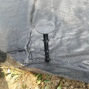 2米宽果树防草布 大棚育苗盖草地布