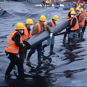 垃圾填埋场 隧道专用土工膜 抗拉防渗 隔离加筋用防渗土工膜