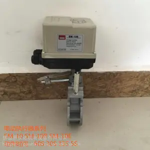sm10-60sִ�����������ִ�������ڹܵ����ſ��ض���