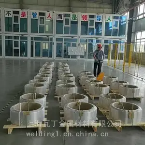 镍带镍箔用于锂电池,电池极耳,五金冲压件,电动汽车,镍电池