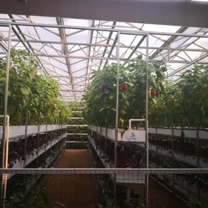 青州鑫泽温室/玻璃无土栽培温室/薄膜鱼菜共生温室/玻璃骨架材料