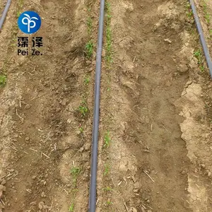 ����ʽ�ι�ܺ͵ι����ʹ��