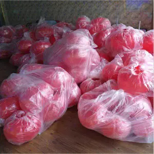LED�й���˫��1.6m ��ˮled���� �������� ����