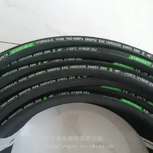 DN10-2SN-55Mpa��ѹ�͹� ���÷�����ƹ����͹� ���ڶ��ֻ�е�豸