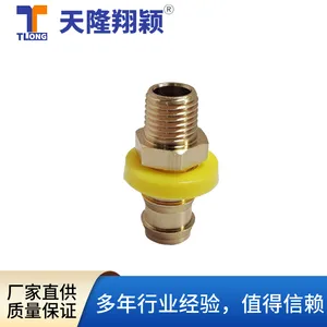 天隆翔颖TLONG美式模具铜水嘴TL-HNR14PL铜水咀现货定制