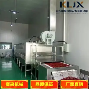 ����20KW PLC���Ƶ��������ɱ���豸 ʳƷ����豸