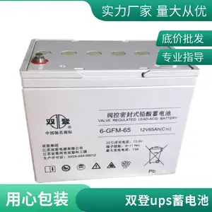 双登蓄电池6-GFM-100 12V100AH 风电 储能阀控密封式免维护铅酸电池