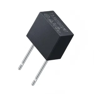 家电控制器用功得MST方形塑封保险丝电流保险管250V300V