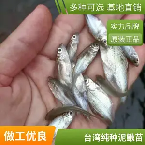 ���� ����������� �ۺ���ָ�� ��ˮ����ֳ ��ҵ�������� ��ˮ��